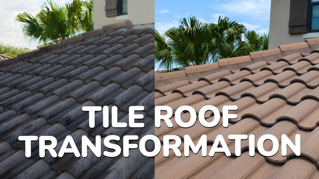 Tile Roof Soft Wash Transformation