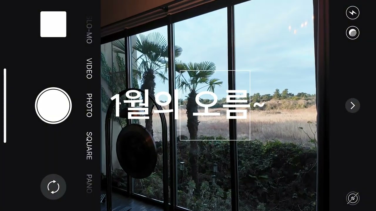 2026년 1월 IN Jeju