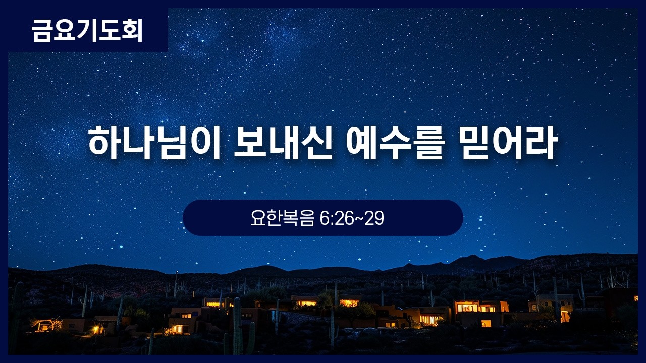 [금요기도회] 하나님이 보내신 예수를 믿어라