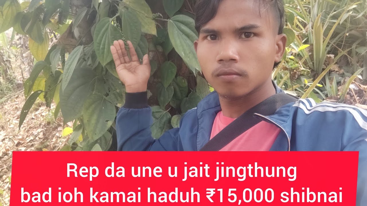 Kumno ban rep ia une u jait jingthung uba lah ban ai kamai ₹15,000 shibnai | Khasi Farming Vlog