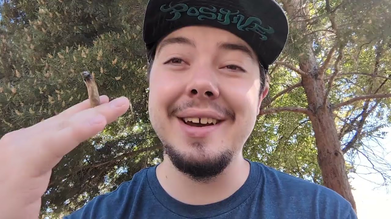 Tropicana Cherry Strain Review!!!