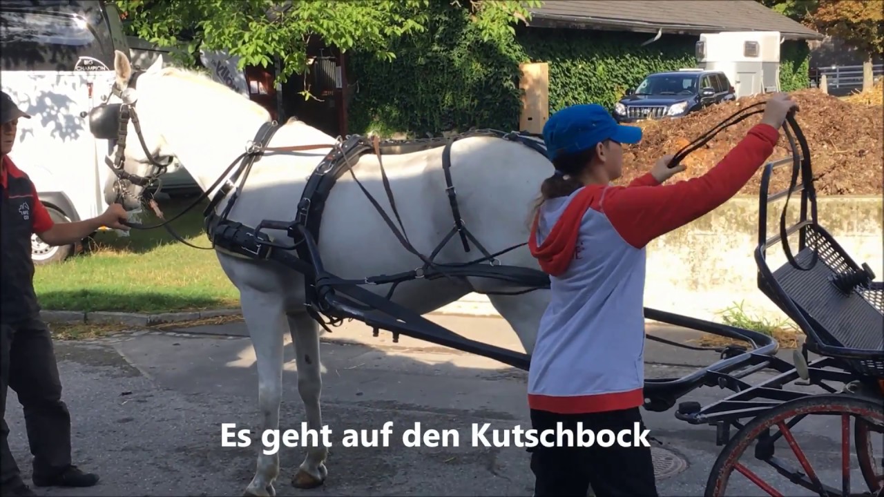 Fahrunterricht im NPZ