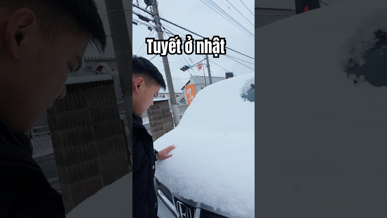 Tuyết ở Nhật #nhatban #huygau