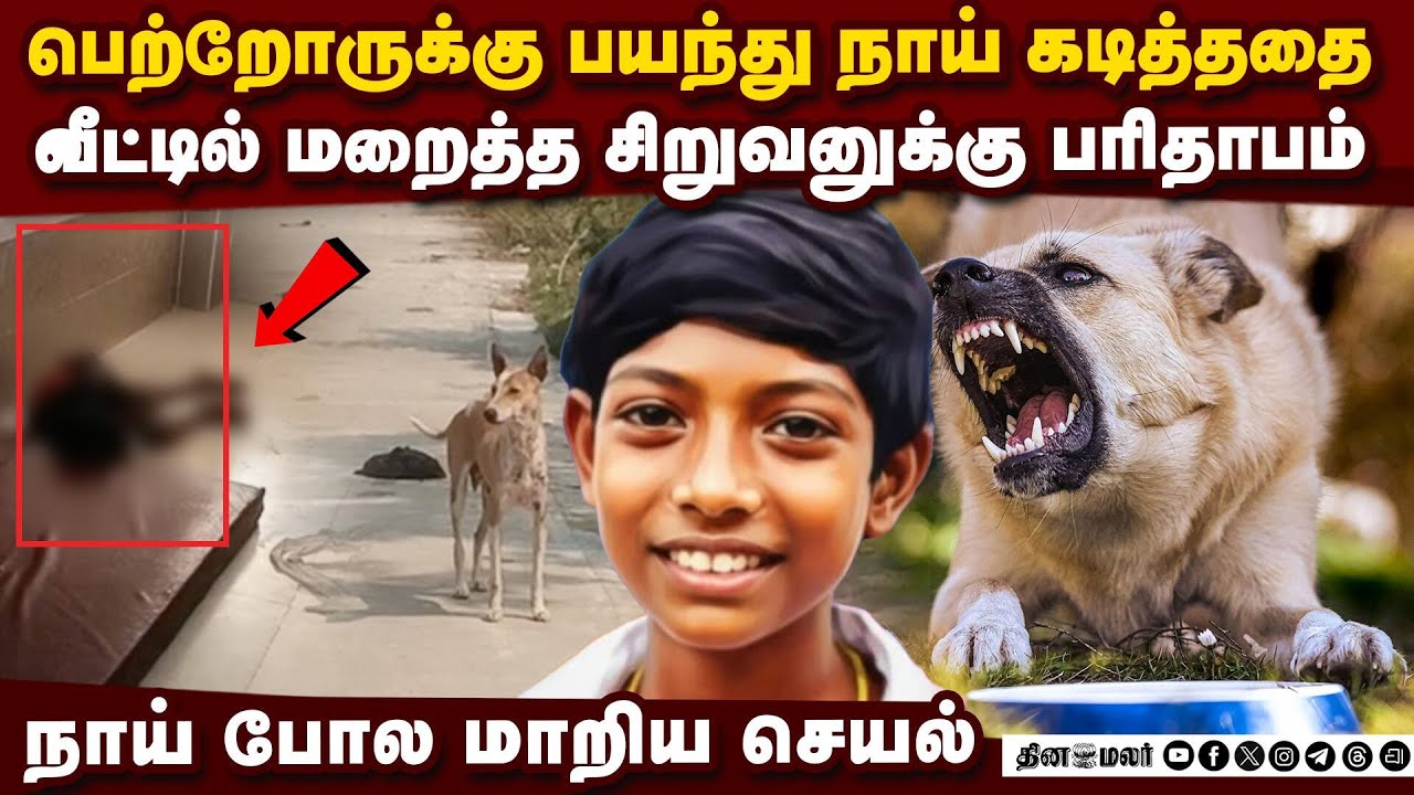 வெறிநாய் கடித்து முற்றிய ரேபிஸ்: சிறுவனின் இறுதி நிமிடங்கள் | Rabies | Dog Bite | Kanchipuram