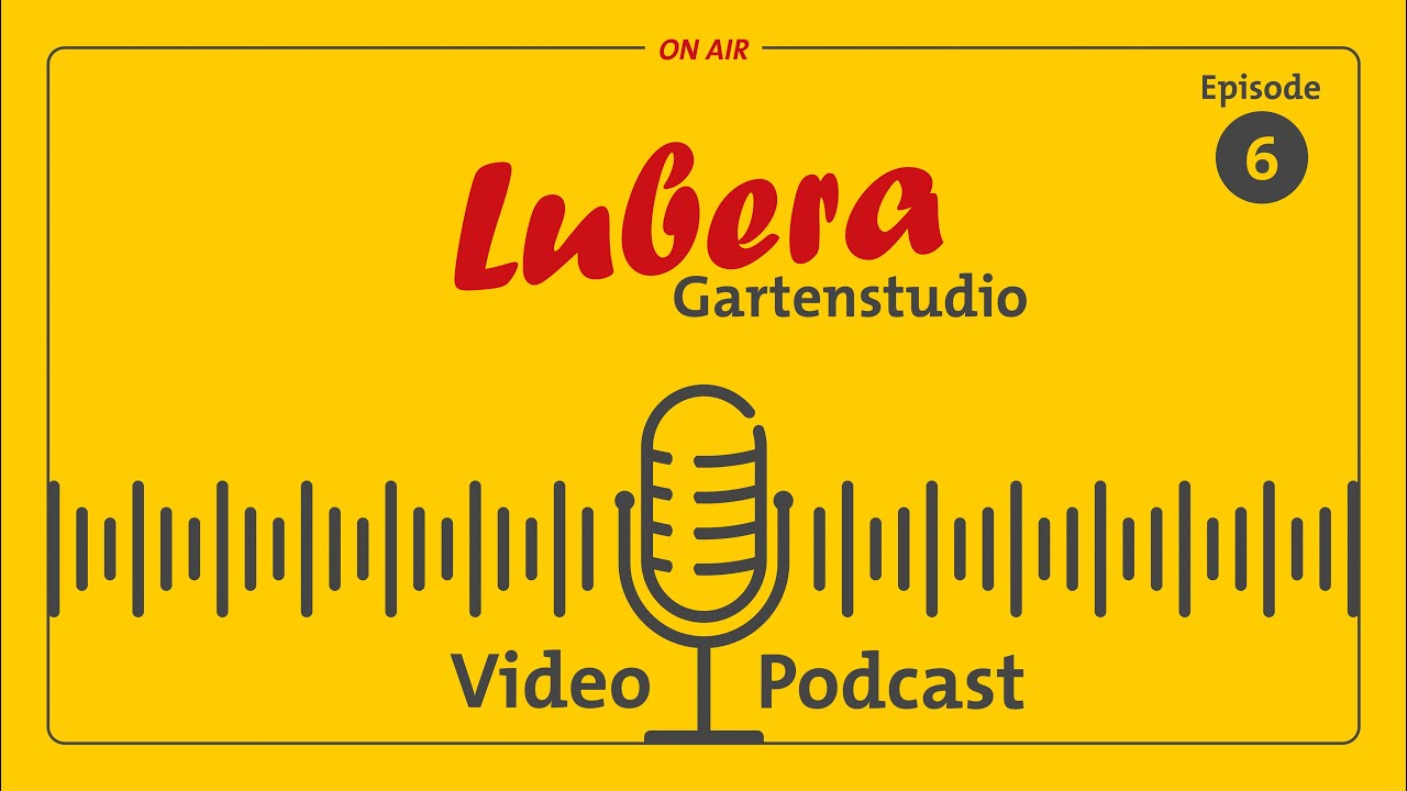 Himbeeren pflanzen – die Dos and Dont's