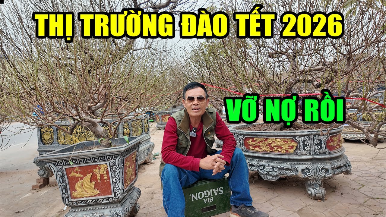 Thị Trường Đào Tết 2026 Năm Nay Ảm Đạm Quá