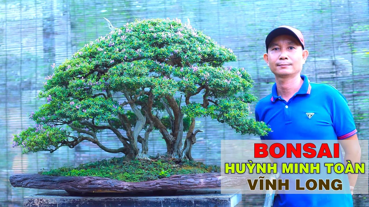 Vườn Bonsai của nghệ nhân Huỳnh Minh Toàn (Vĩnh Long)