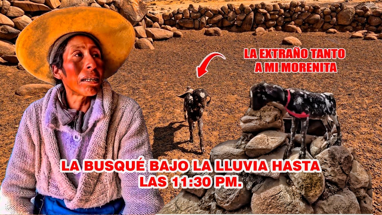 Doña Yolanda LLORA TRISTEMENTE la perdida de su MORENITA - Mal de SALUD.