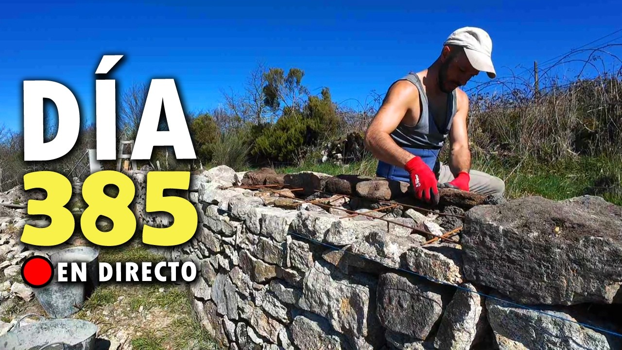 Día 385 | MUCHO TRABAJO! Construyendo un MURO de PIEDRA | Proyecto Autosuficiente IRL