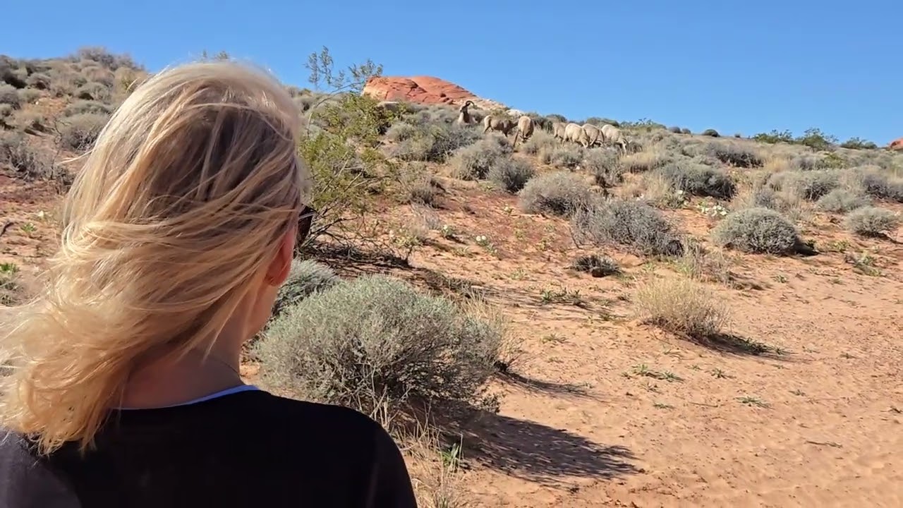 Valley of Fire 12