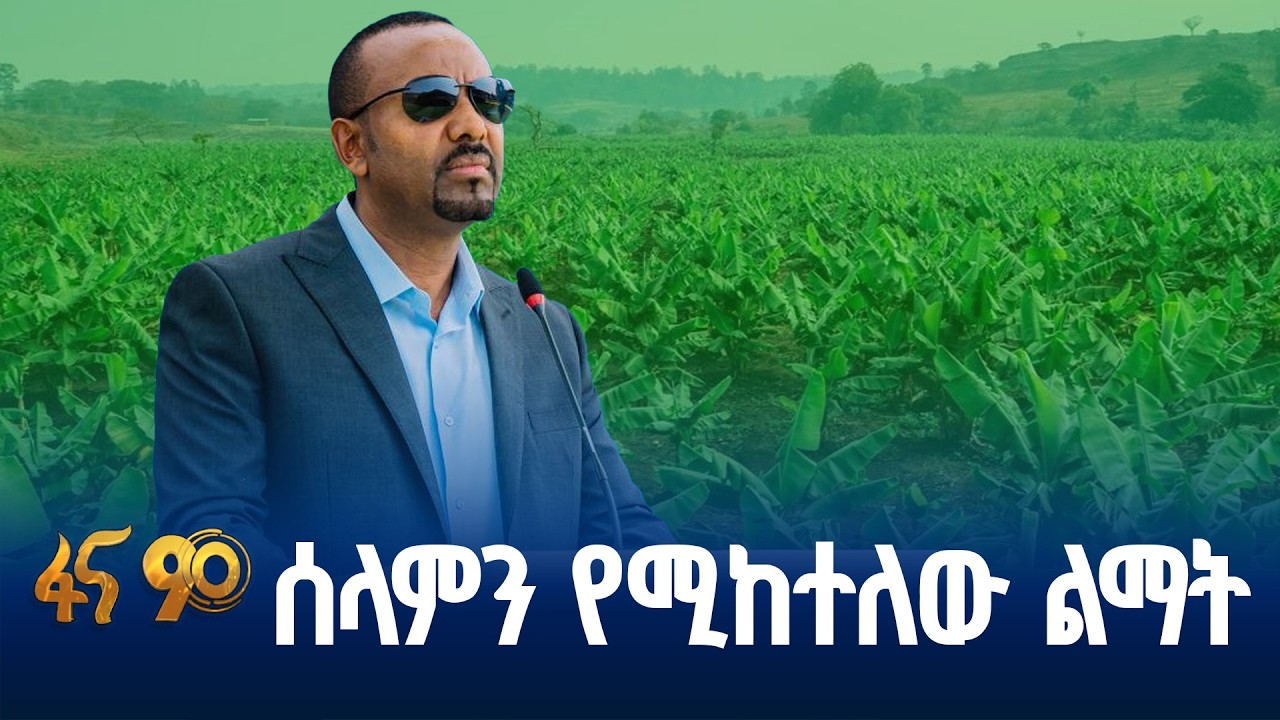 በጫካ የነበሩ ሰላም በመምረጣቸው የተገኘ ውጤት