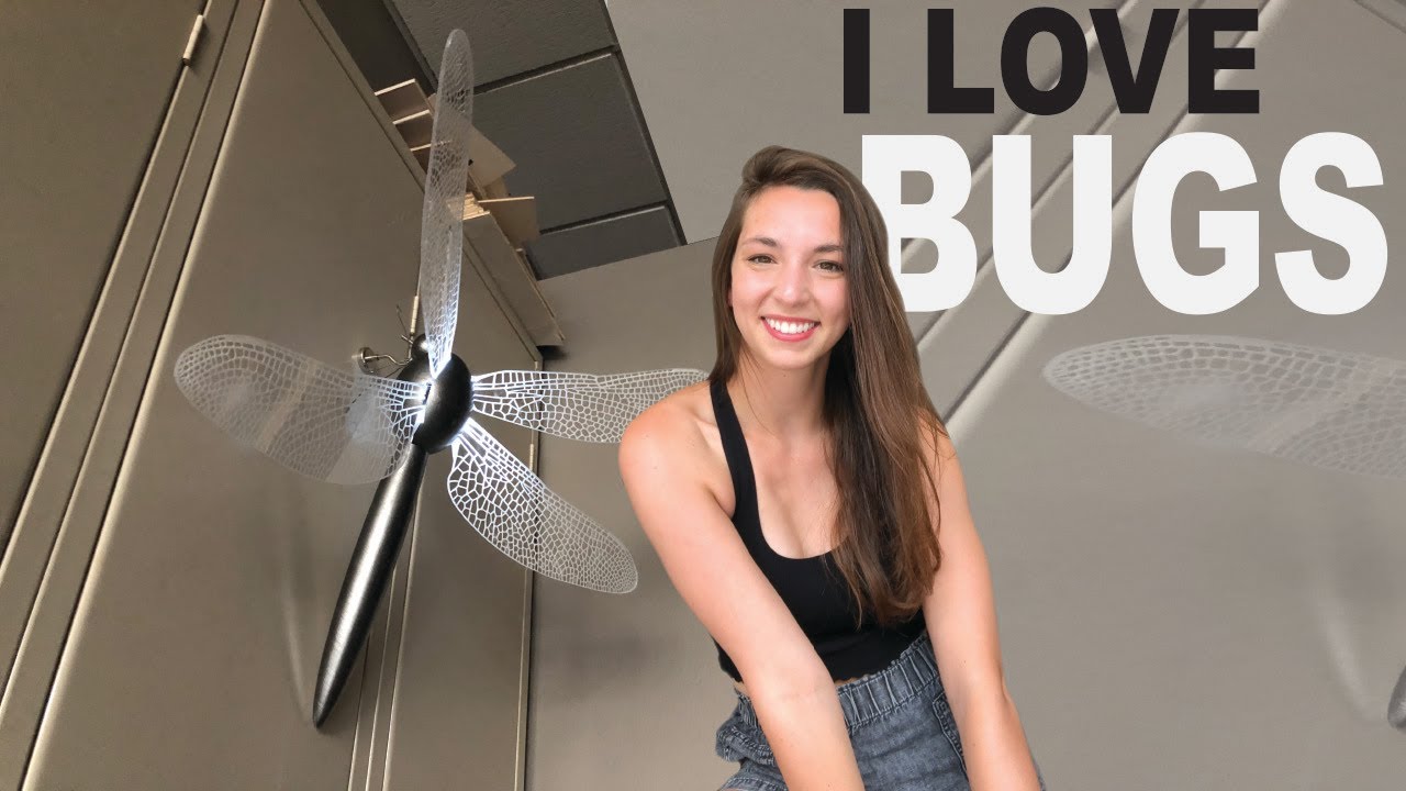 How To Make A Laser Cut BUG | Glowing Dragonfly Nightlight
