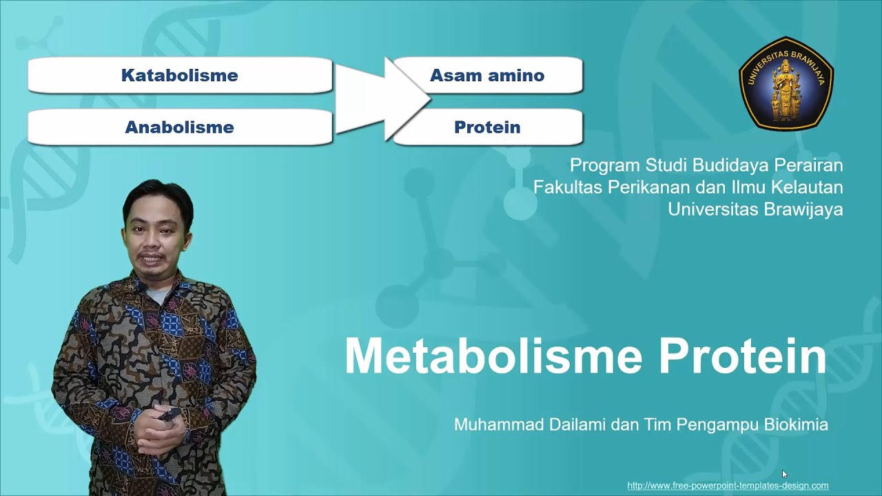 Biokimia: Metabolisme Protein