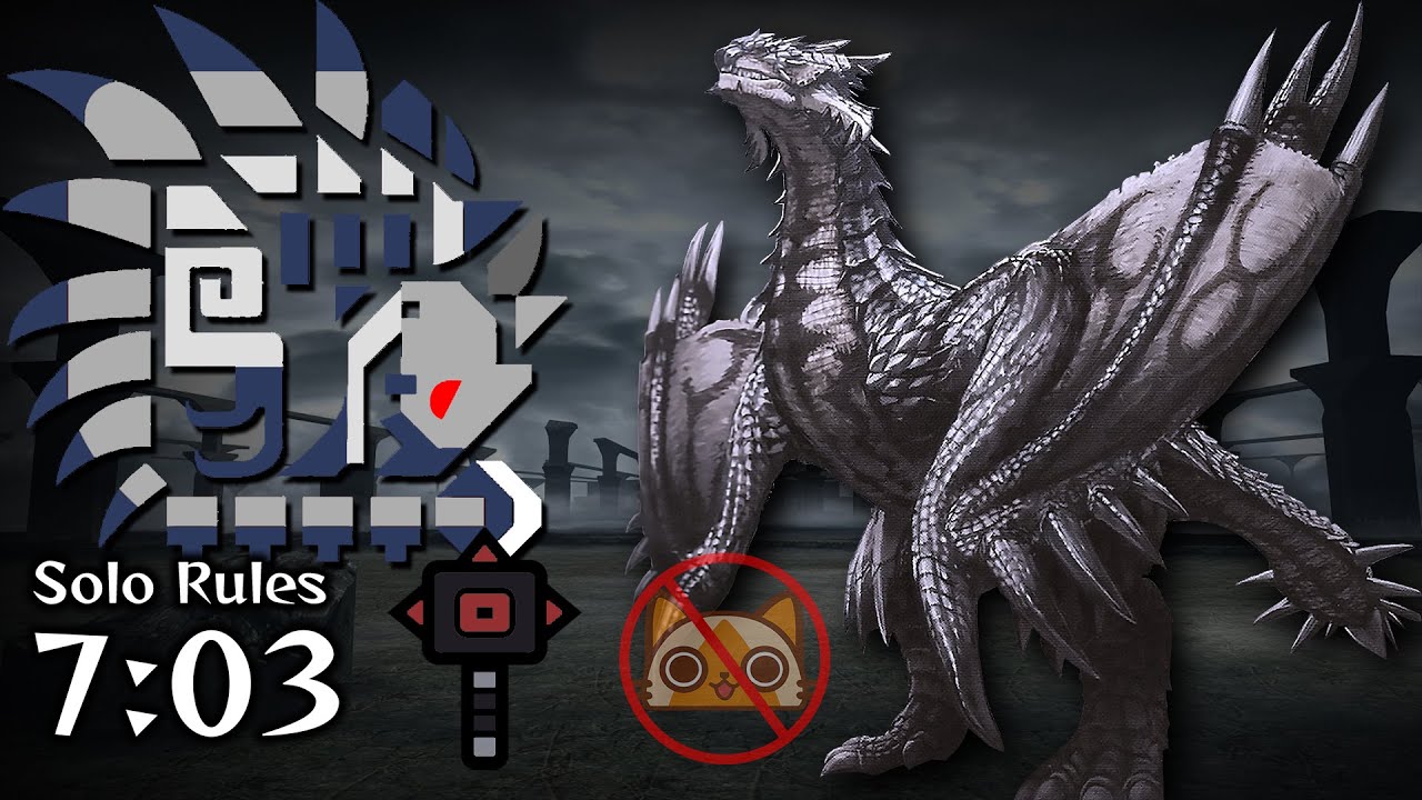Silver Rathalos Vs. Hammer - Monster Hunter Freedom Unite - リオレウス希少種  ハンマー ソロ【MHP2G】