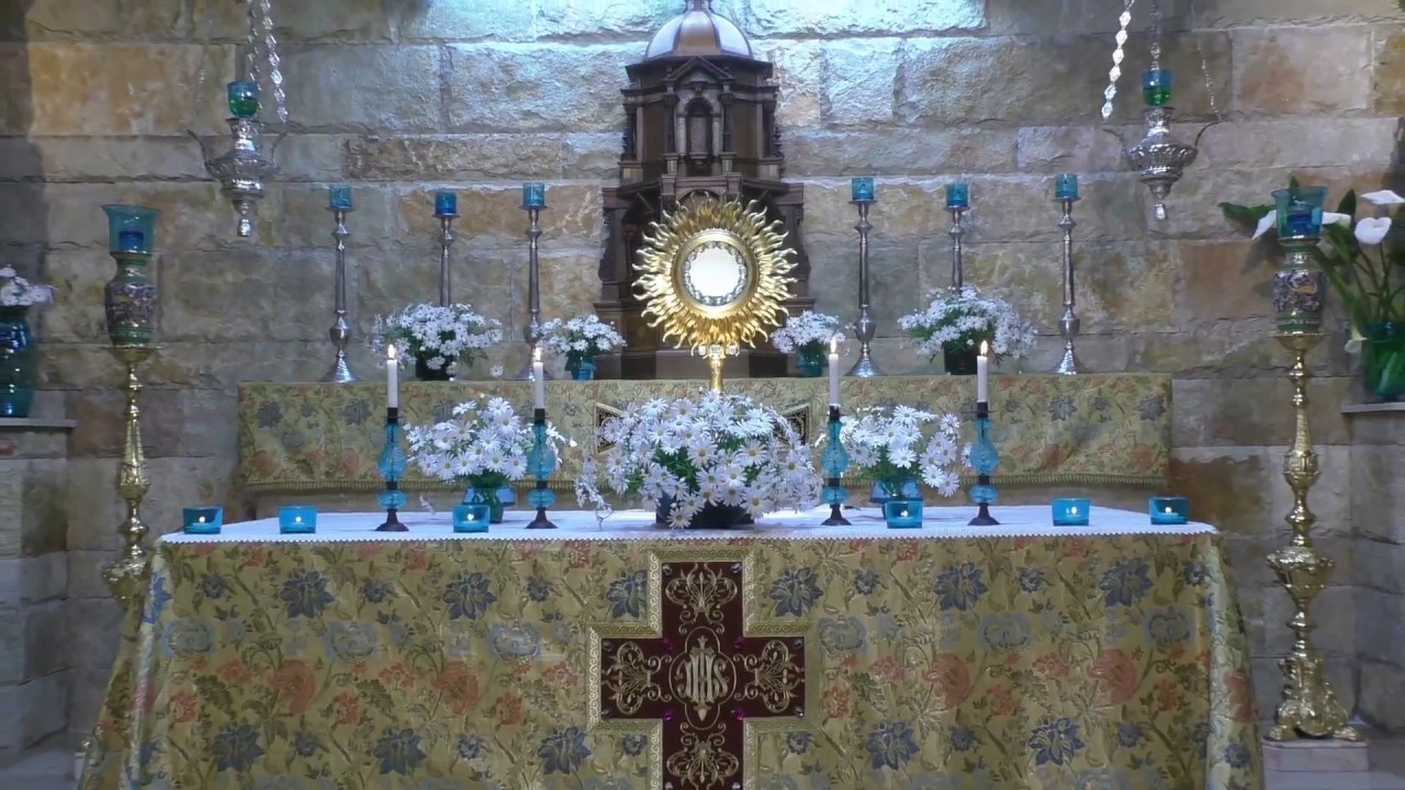 Adorazione Eucaristica e S. Rosario - 2 Maggio 2020
