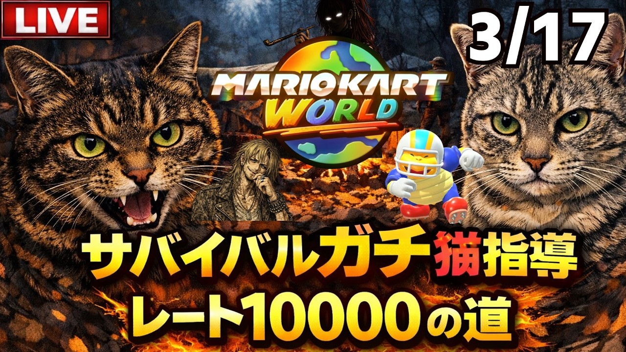 【マリオカートワールド】父親が飼い猫に指導されながらサバイバル野良レート10000目指す！頑張る9000位～