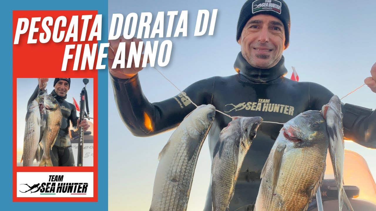 Pesca sub: pescata di fine anno dorata