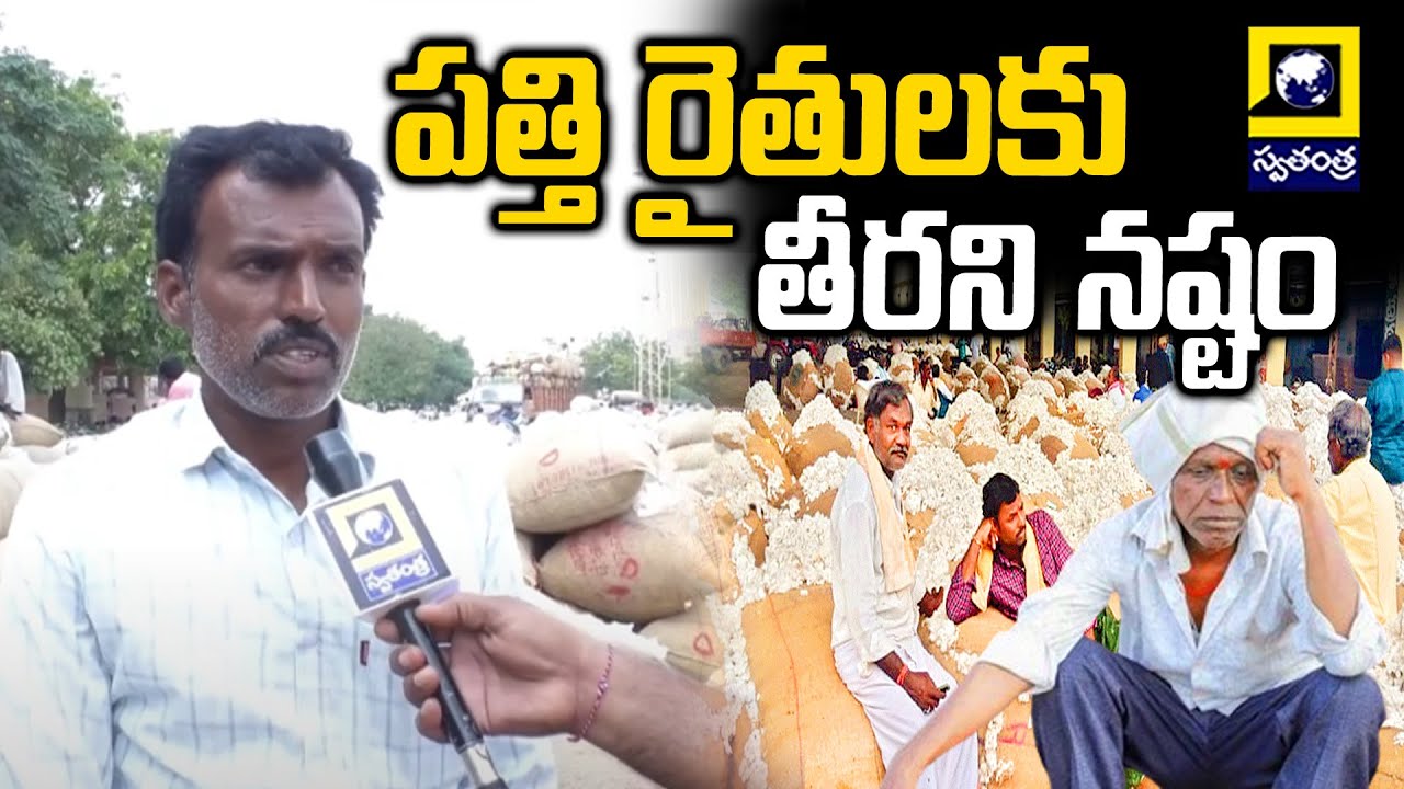 Cotton Price in Warangal Cotton Market | పత్తి రైతులకు తీరని నష్టం | @swatantralive