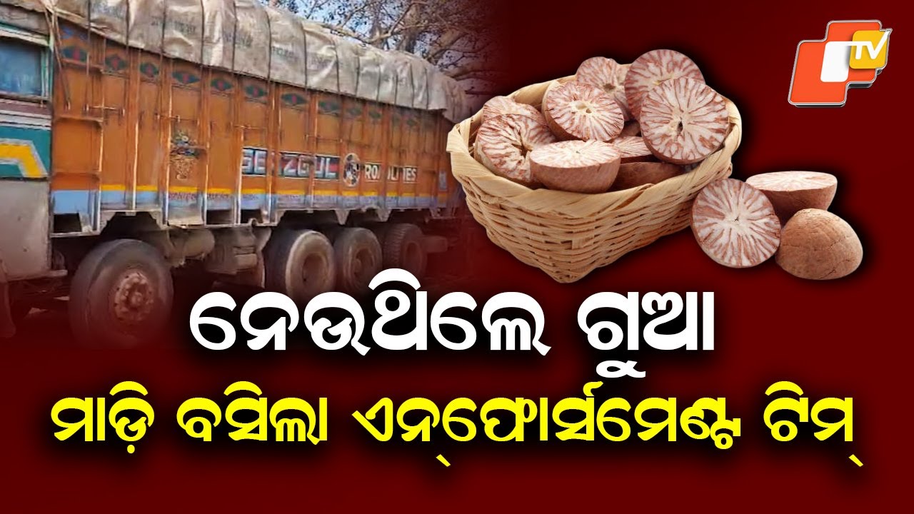 27 Ton Betel Nut-Laden Truck Seized in Sambalpur, GST Enforcement Team Conducts Raid