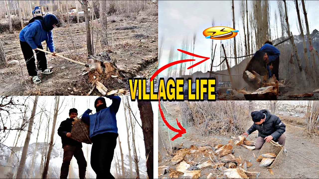 A Day in the Life of a Ladakhi Girl#dailyvlog#ladakhiyoutuber