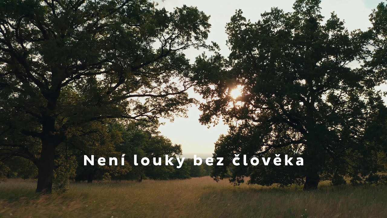Není louky bez člověka