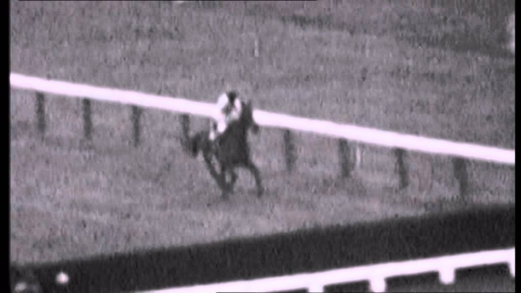 Arkle The  Greatest Steeplechaser Part 11