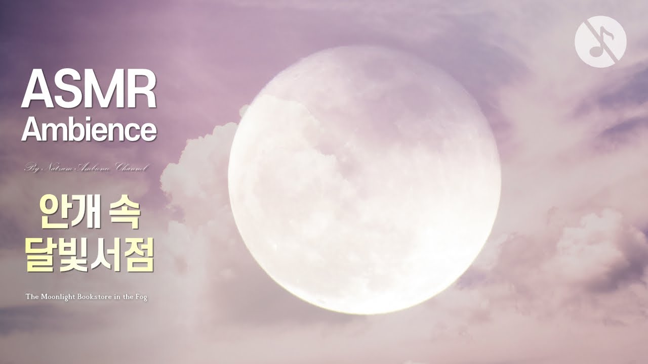 서쪽 바닷가, 짙게 깔린 해무 안🌙안개 속 달빛서점 ASMR (팅글 가득!) /음악 없는 버전