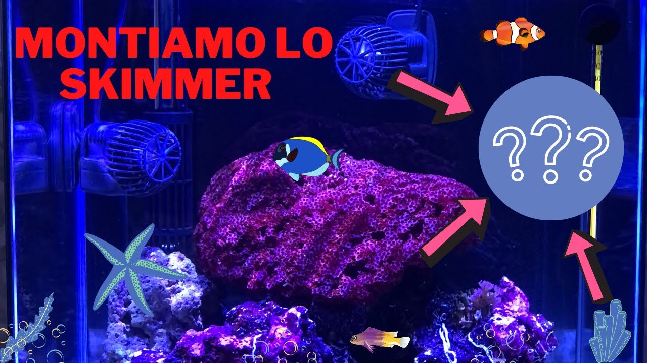 Montiamo lo Skimmer TUNZE 9001 nel mio acquario marino (Nano Reef da 50 litri)