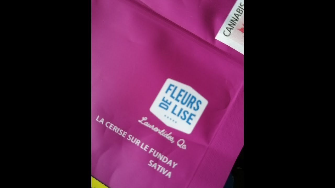 SQDC Weed Review 256 Cerise sur le Funday