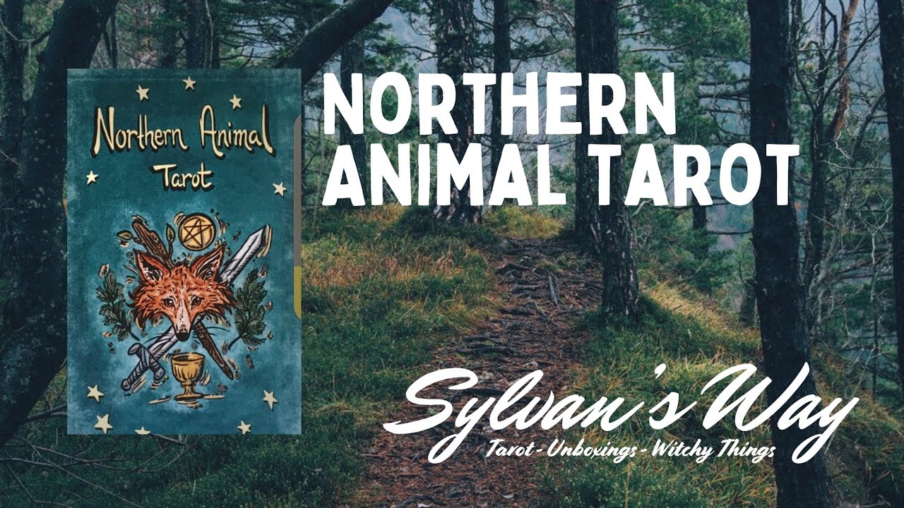 Northern Animal Tarot | Deck Review