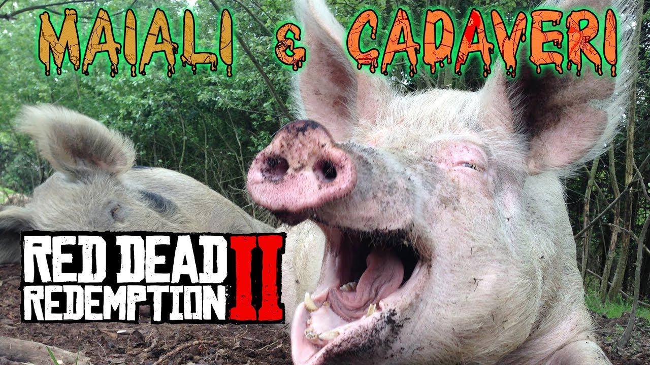 RED DEAD REDEMPTION 2: Che succede se butto un cadavere ai maiali? Niente. 