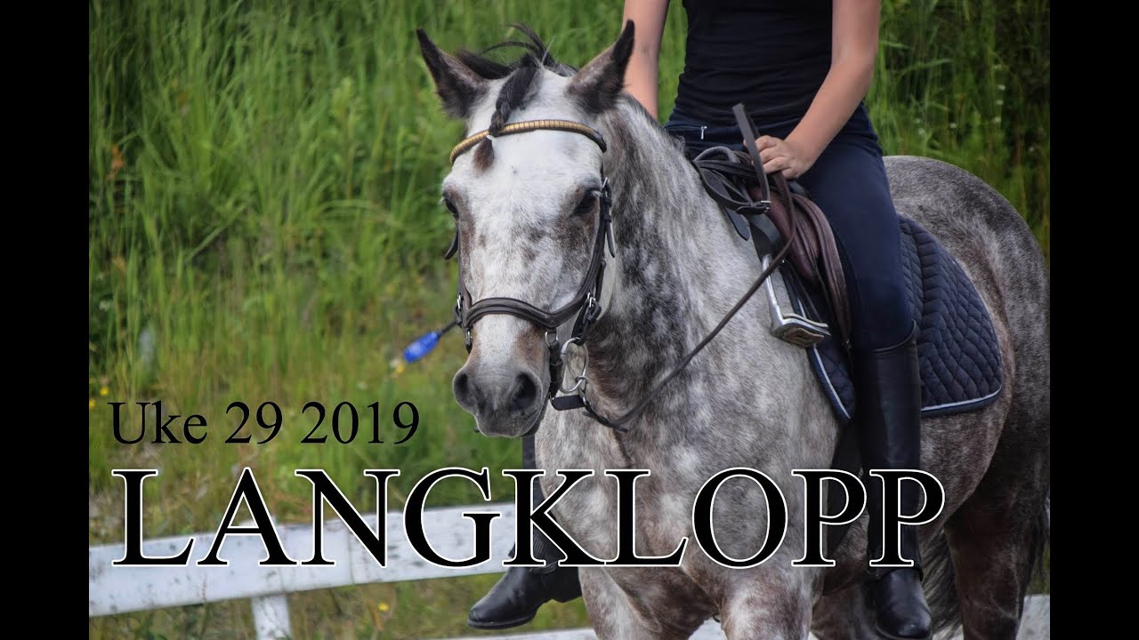 Langklopp uke 29 2019