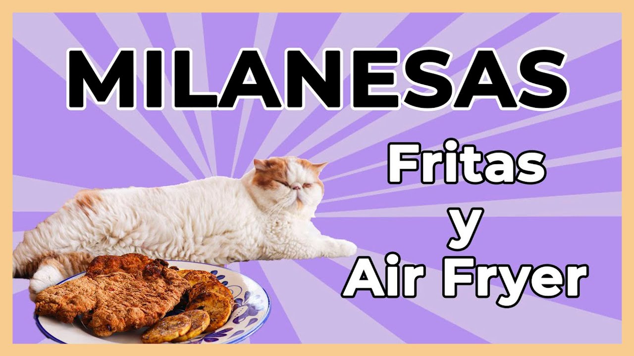 Milanesas de pollo y cerdo (En freidora de aire - Air Fryer) | Fedecooks