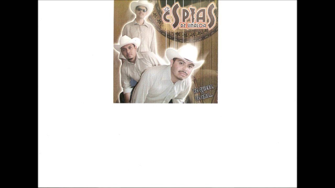 LOS ESPIAS DE SINALOA 