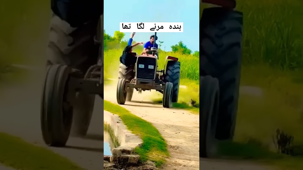 Banda Marta Marta bacha  | Tractor video | tractor #tractor #tractorloverz #shortvideo #pindawale
