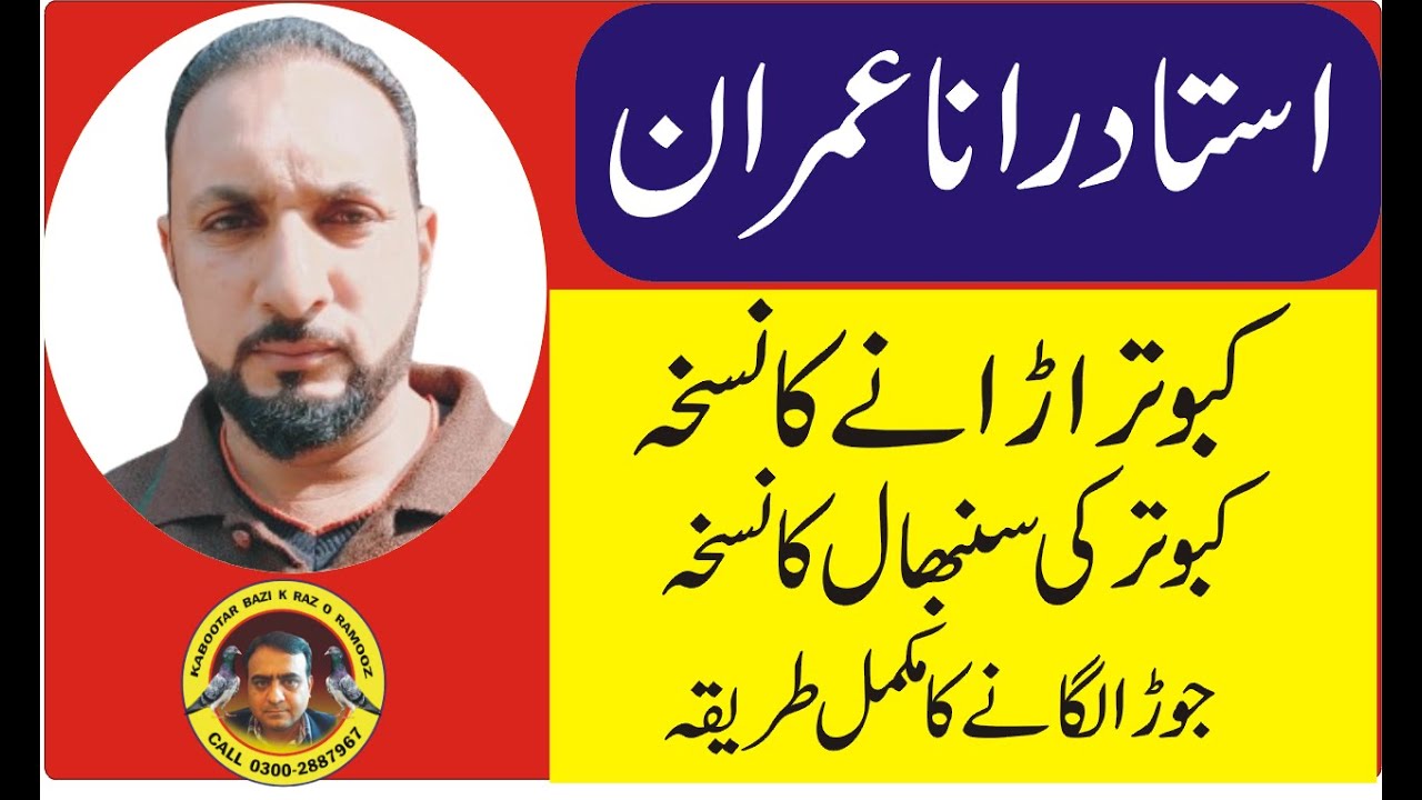ustad rana imran /kabootar urany ka formula / kabuter ke sanbhal ka nuskha / jora lgany ka treeka