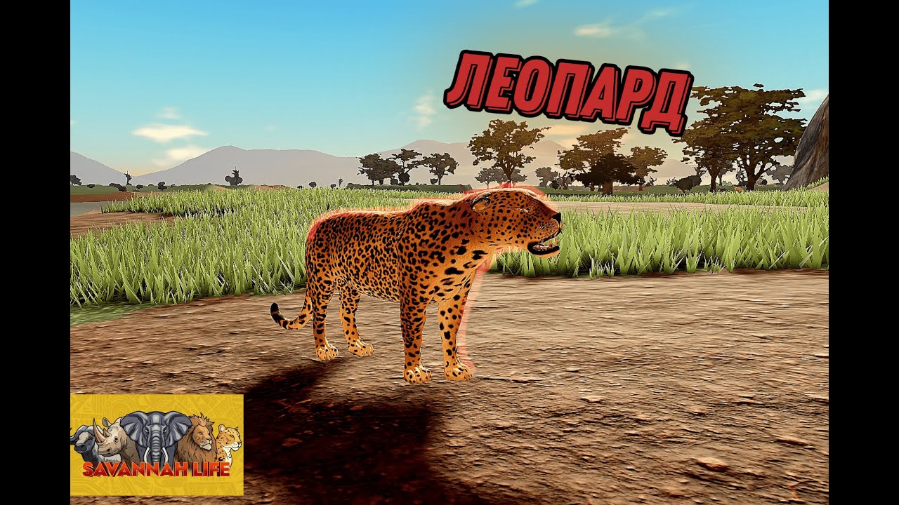 ЛЕОПАРД | Savannah Life (roblox)