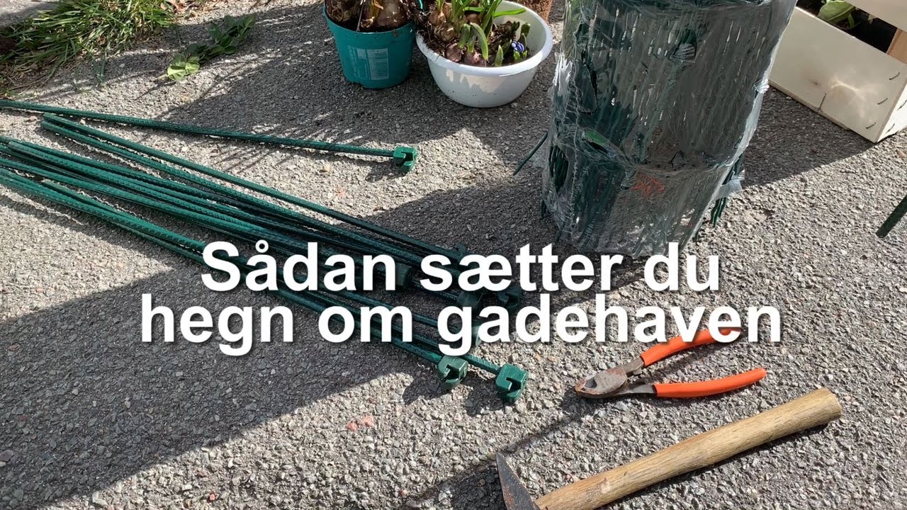 Sådan sætter du hegn op om din gadehave