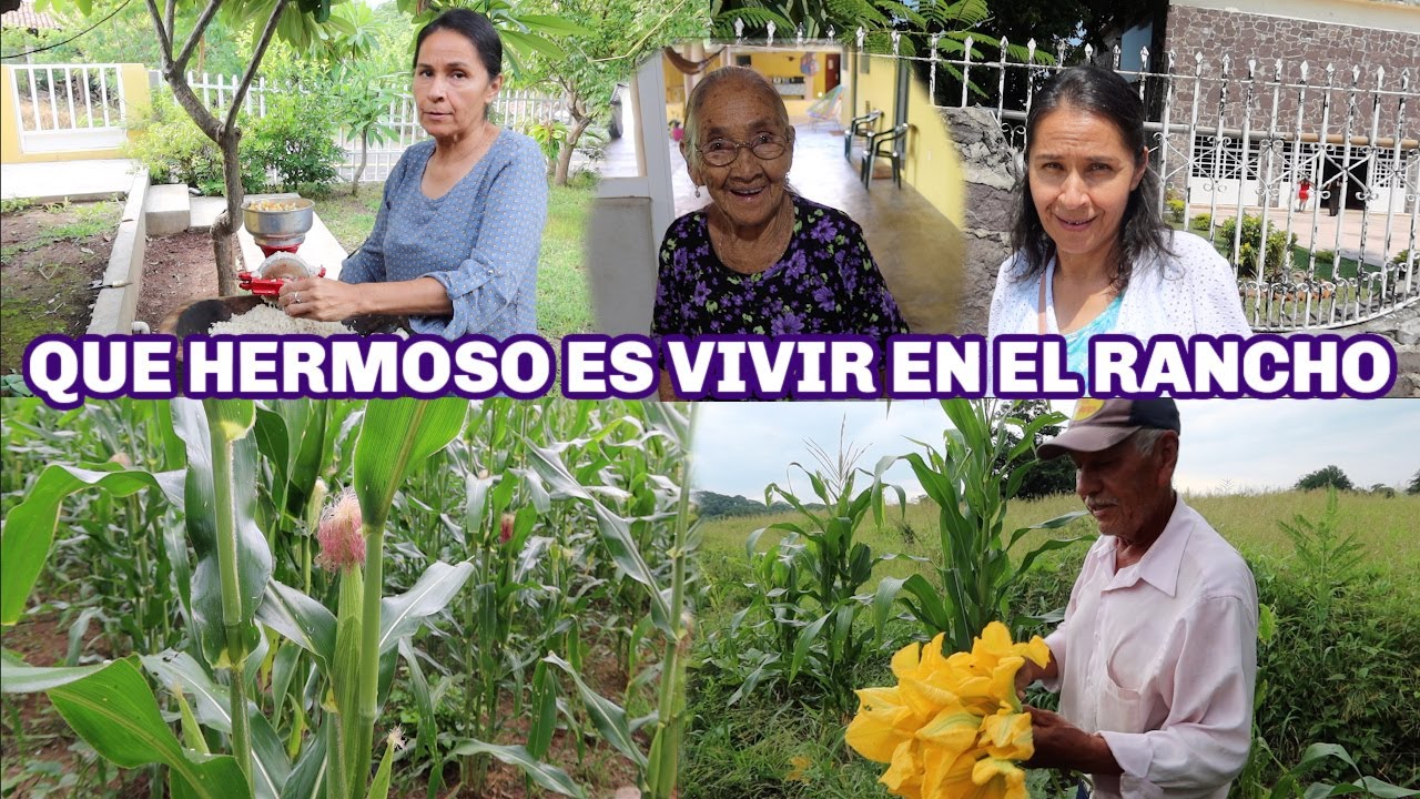 NUESTROS PRIMEROS DIAS EN EL RANCHO | LA JEFA FUE AL PUEBLO A COMPRAR LA  DESPENSA | EN SU COCINA..