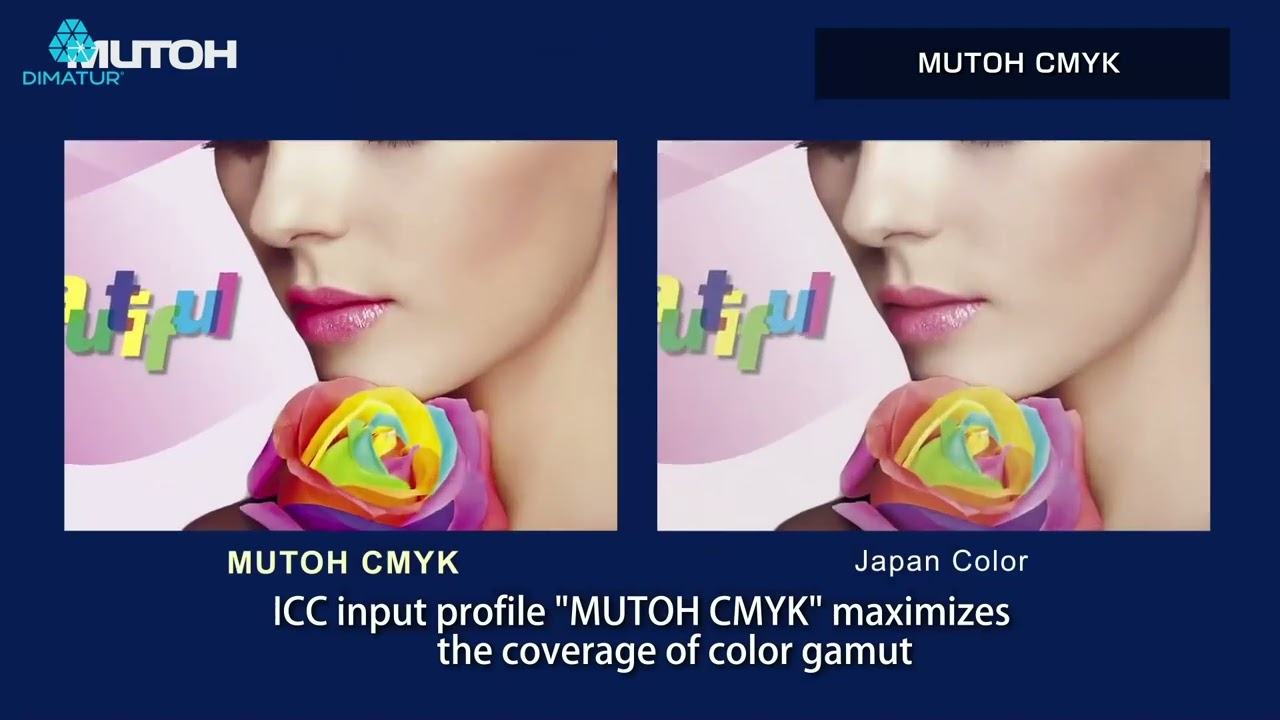 Dimatur &ndash; Mutoh VerteLith RIP Software - Tecnologia de alta qualidade