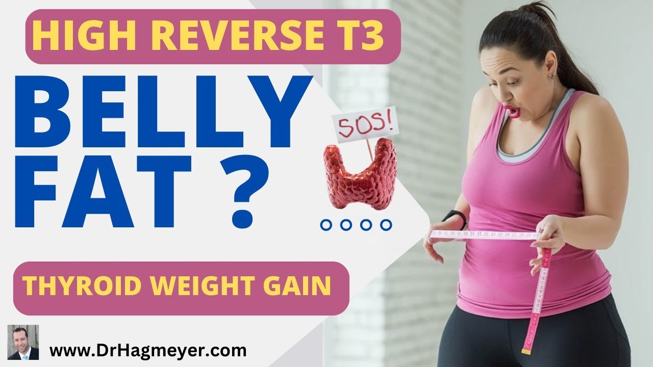 🧘‍♂️Belly Fat and Reverse T3 How Reverse T3 Causes Weight Gain Belly Fat Loss Exercise-Dr  Hagmeyer