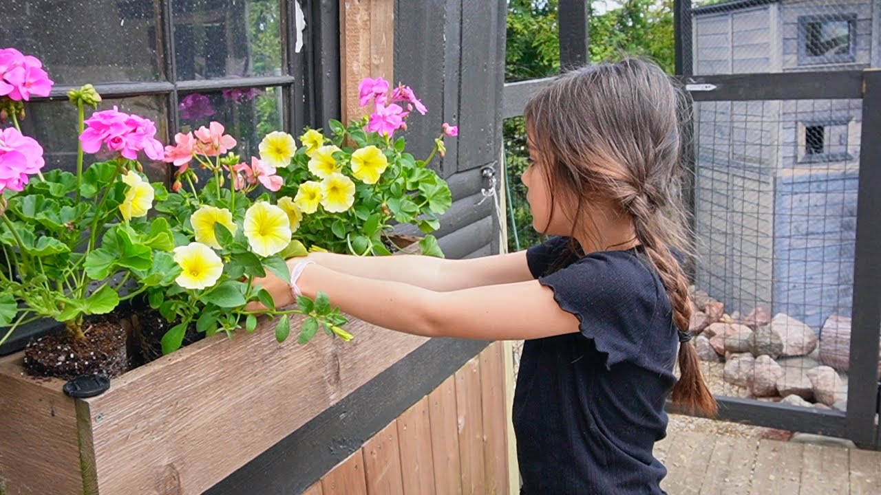 Mini Window Box & Hanging Baskets | Planting in front of Animal Sheds