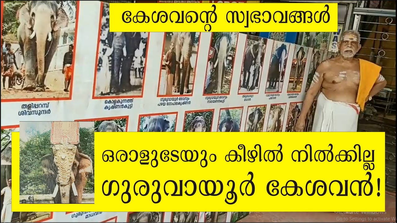 Guruvayur Keshavan, Memories and qualities, ഗുരുവായൂര്‍ കേശവന്റെ സ്വഭാവം, Guruvayoor Keshavan Story