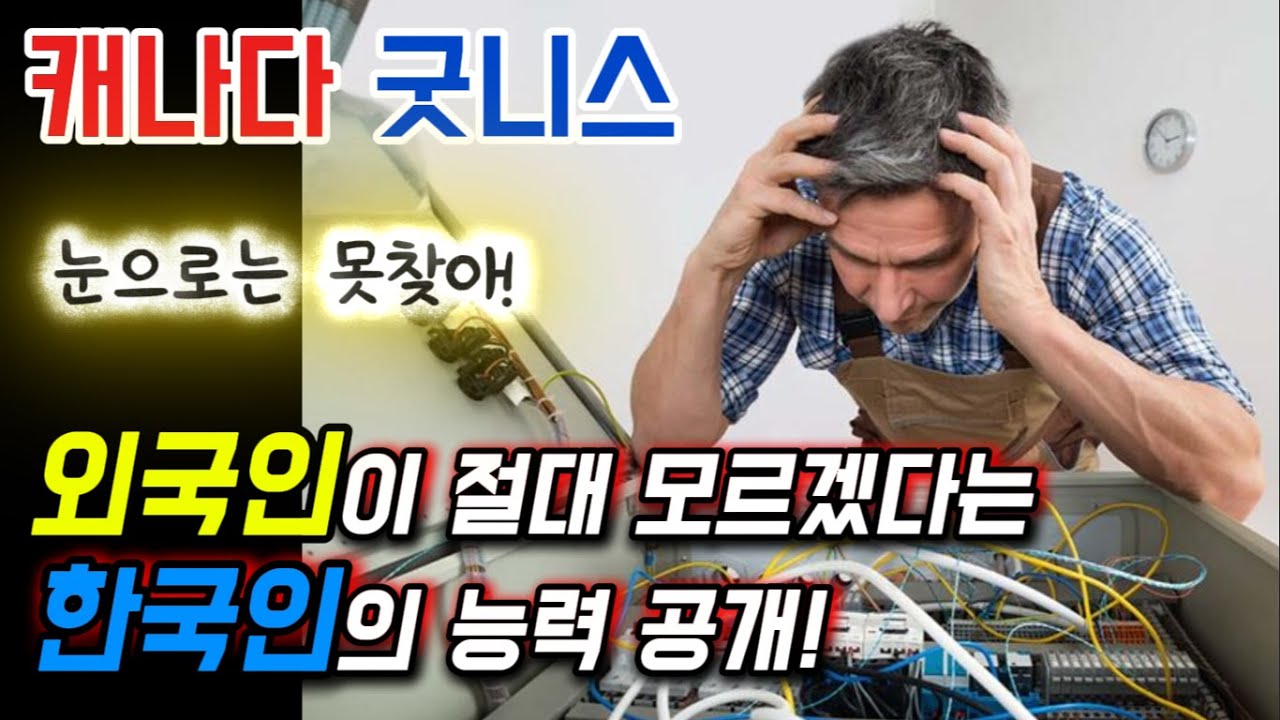 무슨 문제인지 절대 모르겠다는데.... 이건 눈으로 찾기 힘들지.... 이렇게 하면 됩니다.  #캐나다 #기술 #해외