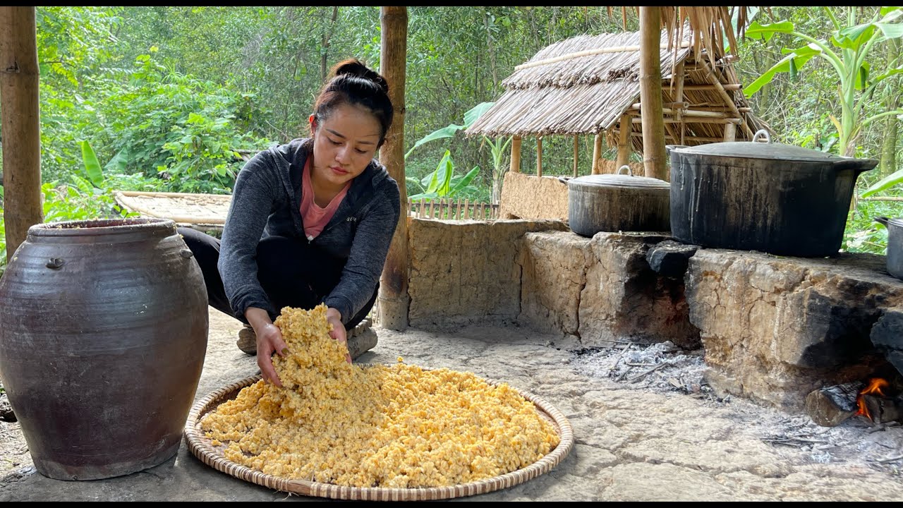 How to brew and ferment corn wine on the farm. cooking and gardening EP. 59
