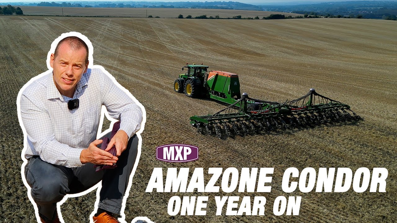 Maxipart Amazone Condor: Everything You Need To Know (2024 Update)