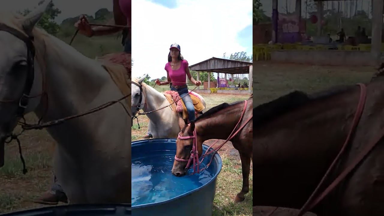 Cavalgada do interior e top 10🥰🥰