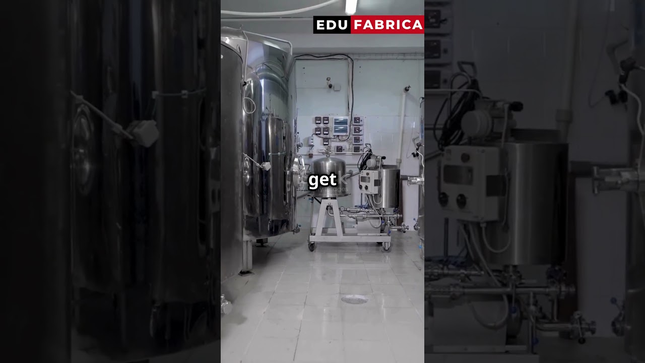 Biomanufacturing The Future of Sustainable Production!