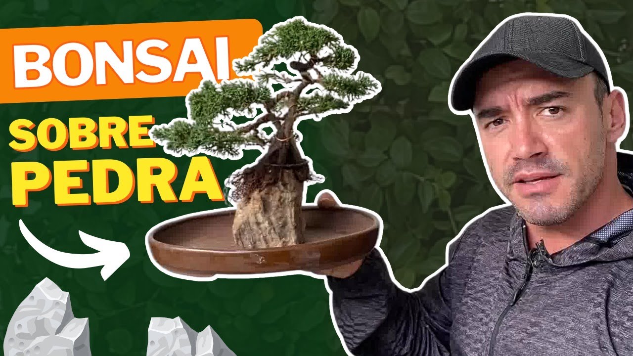 BONSAI SOBRE PEDRA | COMO FAZER