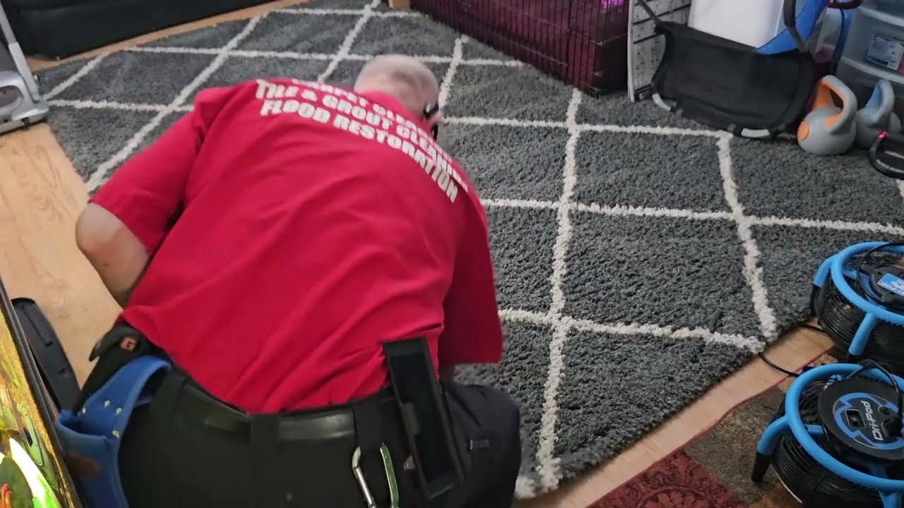 Cleaning a VERY Stinky Area Rug using SETT / VLM